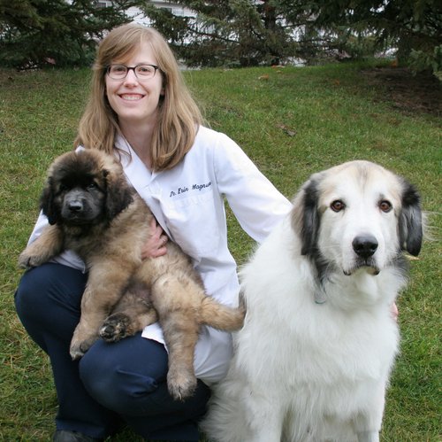 Erin Magnuson-Struik